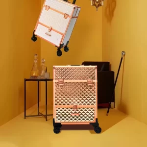 professional beauty case